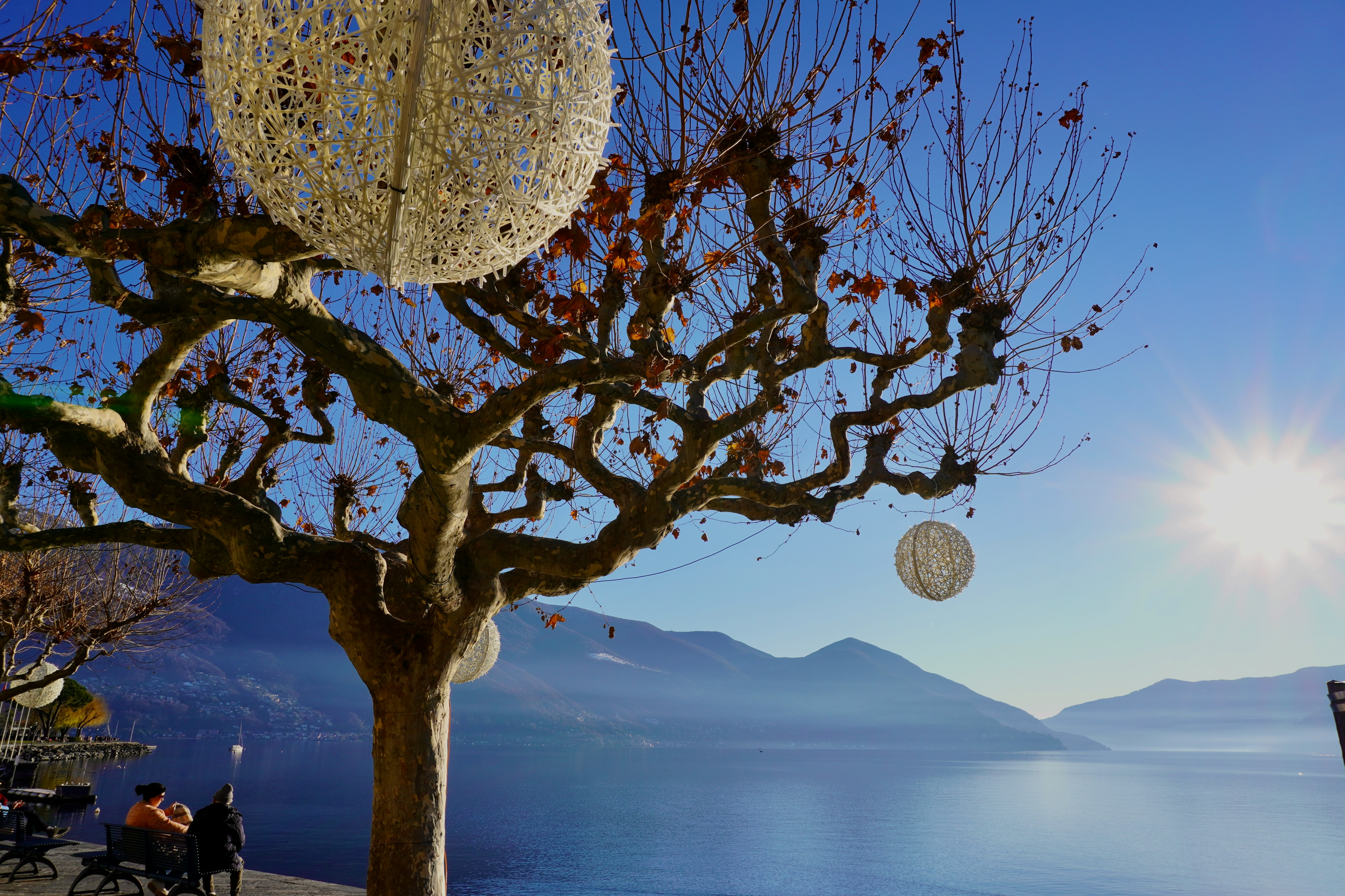 Italian lake with mountains and tree, Lago Maggiore